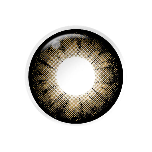 Magister Supersize — Brown Plus