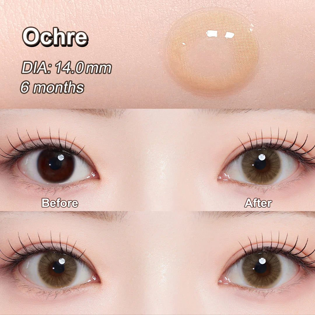 Magister Queen — Ochre Brown