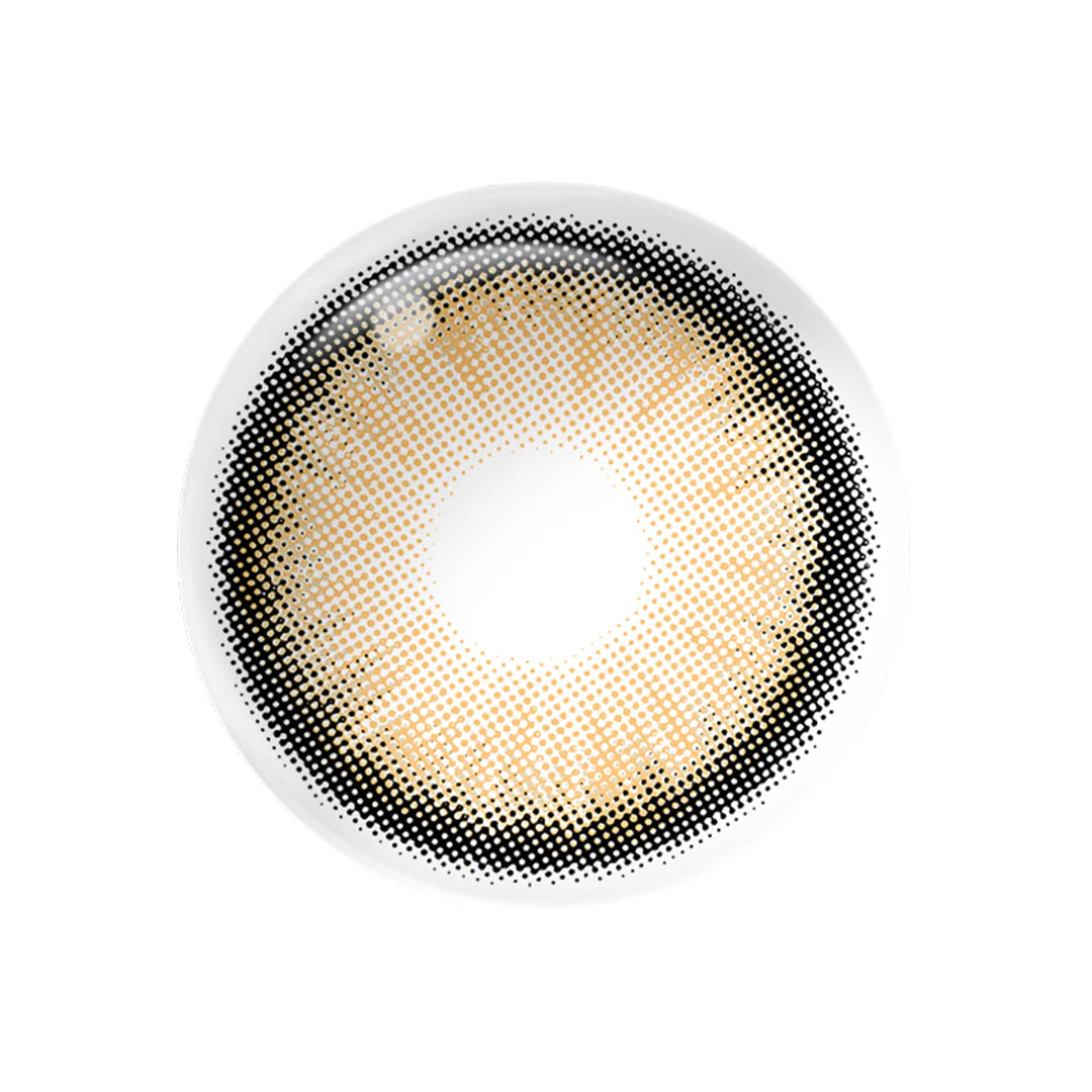 Magister Diamond — Candy Brown